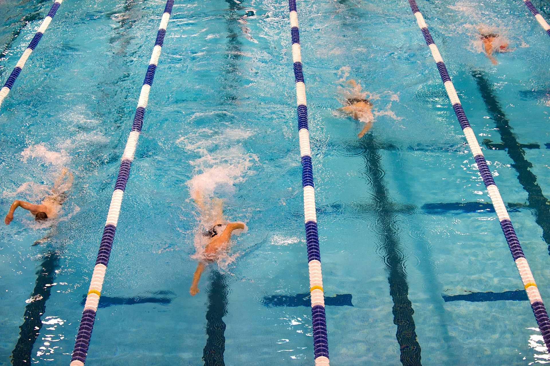 Nadadores compitiendo en piscina