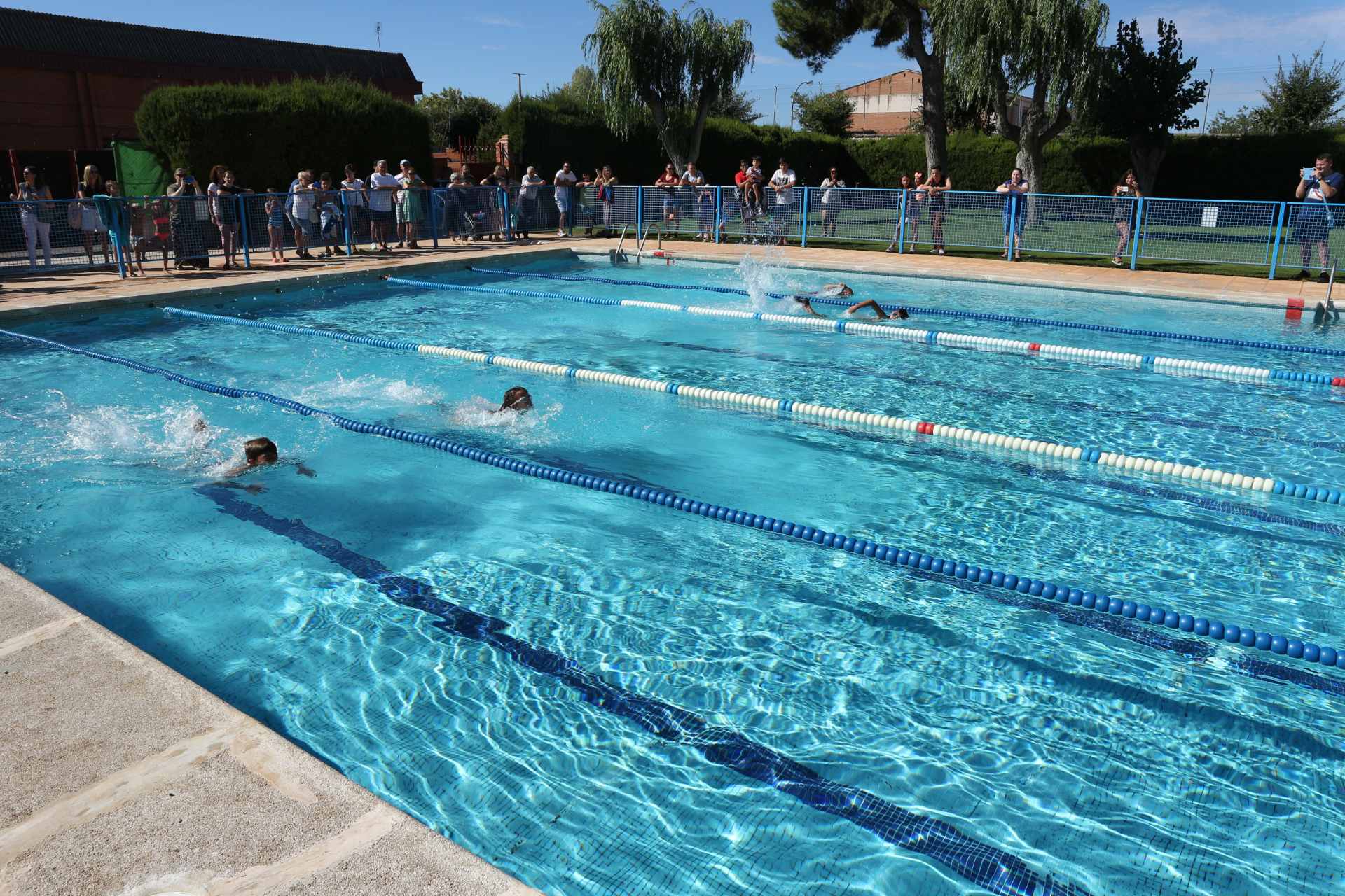 Competencia de natación en piscina